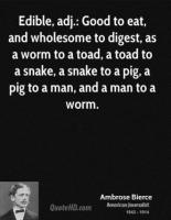 Toad quote #1