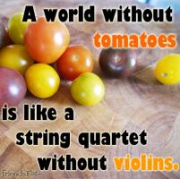 Tomatoes quote #1