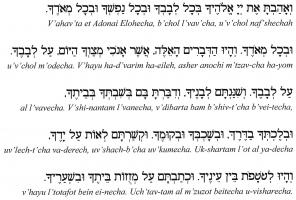 Torah quote #1