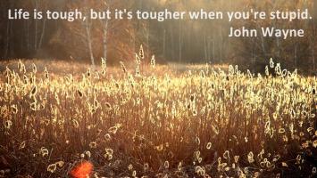 Tough Life quote #2