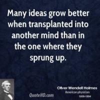 Transplanted quote #2