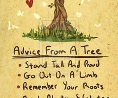 Tree Of Life quote #2