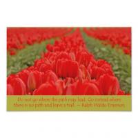 Tulips quote #2