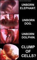 Unborn Child quote #2