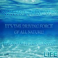 Underwater quote #1