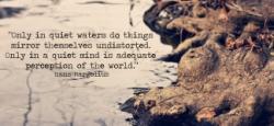 Undisturbed quote #2