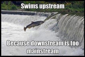 Upstream quote #2