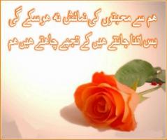 Urdu quote #2