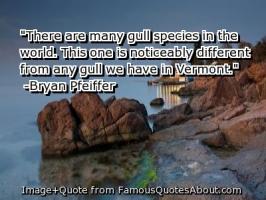 Vermont quote #2