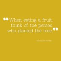 Vietnamese quote #1