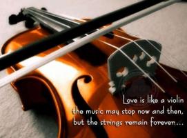 Violinist quote #2