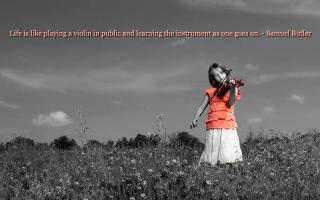 Violins quote #1