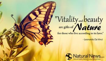 Vitality quote #1