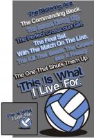 Volley quote #2
