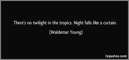 Waldemar Young's quote #1