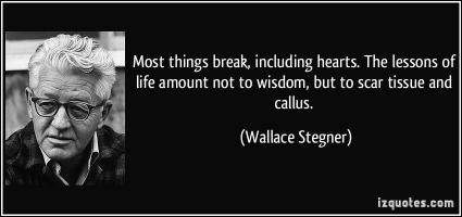 Wallace Stegner's quote #1