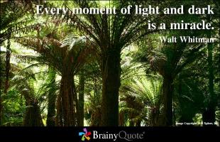 Walt Whitman quote #2