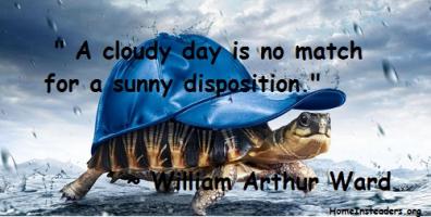 Ward quote #1