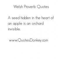 Welsh quote #2