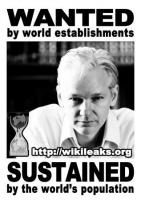 Wikileaks quote