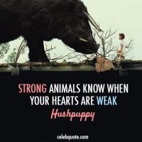 Wild Animals quote #2