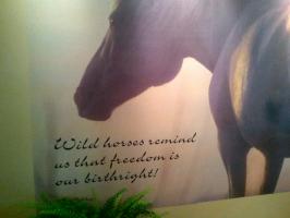 Wild Horses quote #2