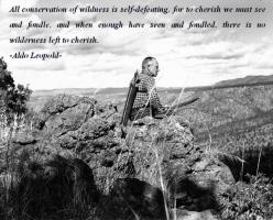 Wilderness quote #2