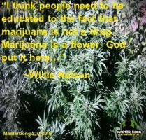 Willie Nelson quote #2