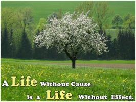 Wonderful Life quote #2