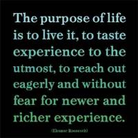 Working Life quote #2