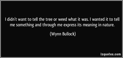 Wynn Bullock's quote #1