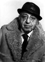 Yousuf Karsh's quote #3