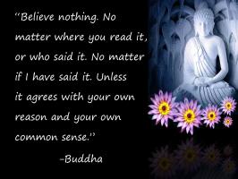 Zen quote #2