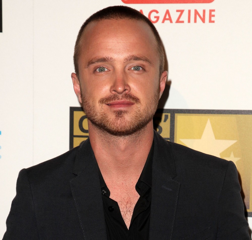 Aaron Paul's Profile.