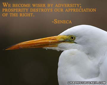 Adversity quote #3