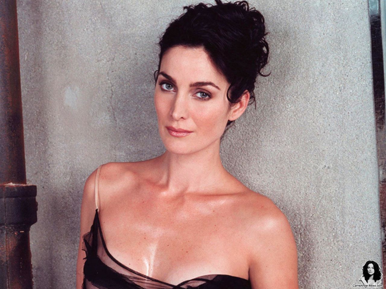 Carrie Anne Moss Photo 3 Sualci Quotes