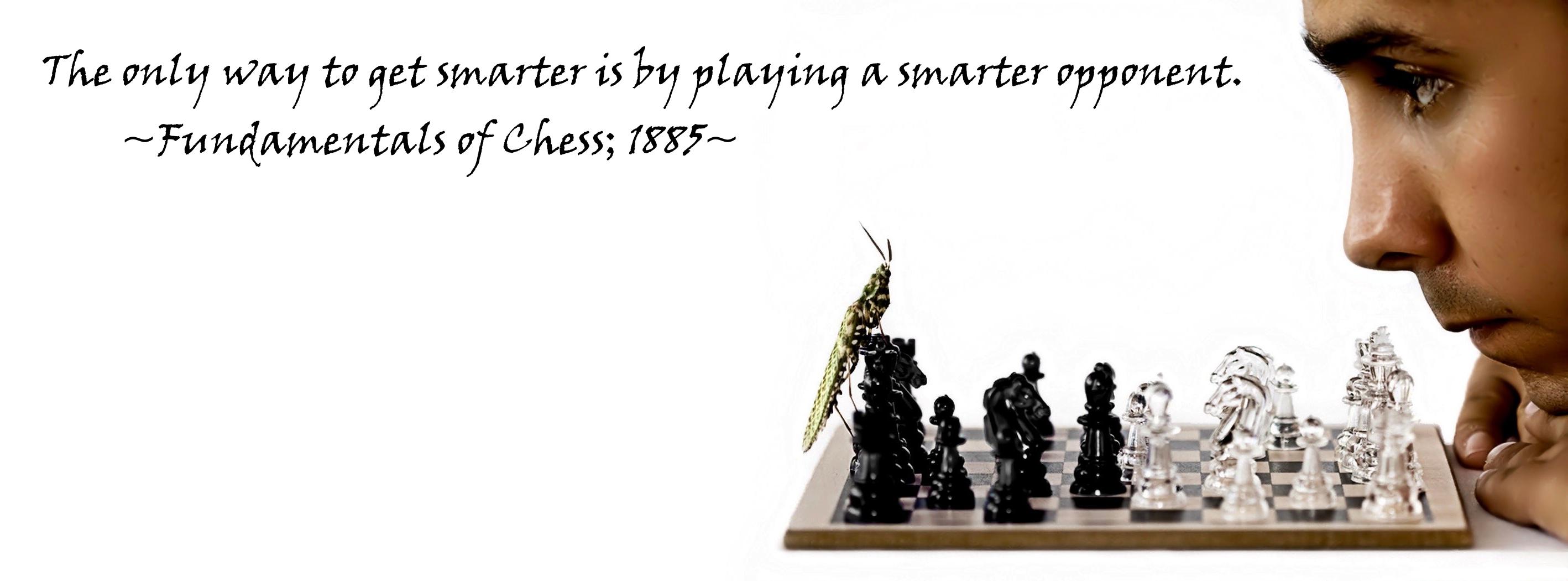 Chess quote #6