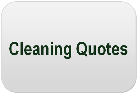 Cleaning quote #7