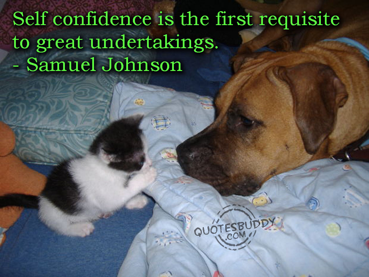Confidence quote #1