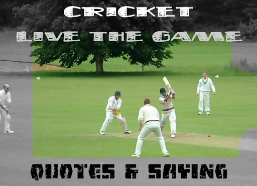 Cricket quote #5