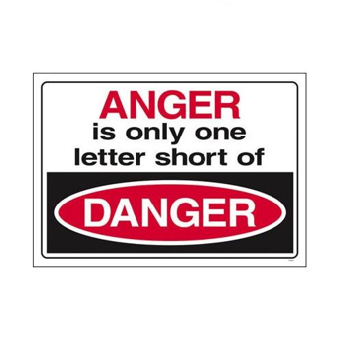 Danger quote #4