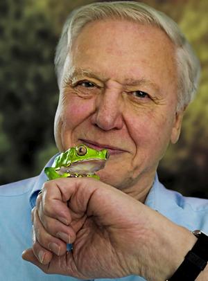 David Attenborough's quote #5