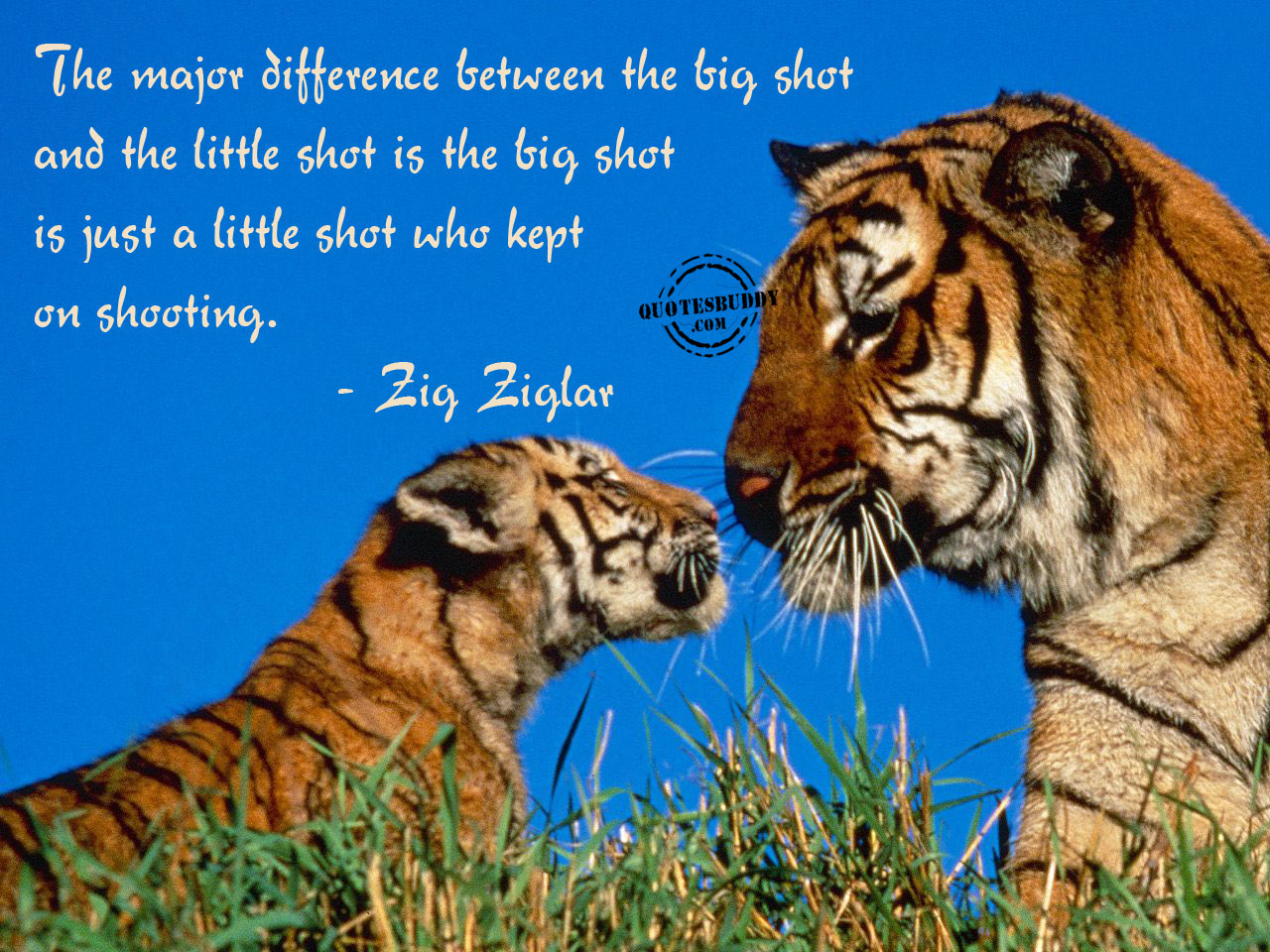 Difference quote #2