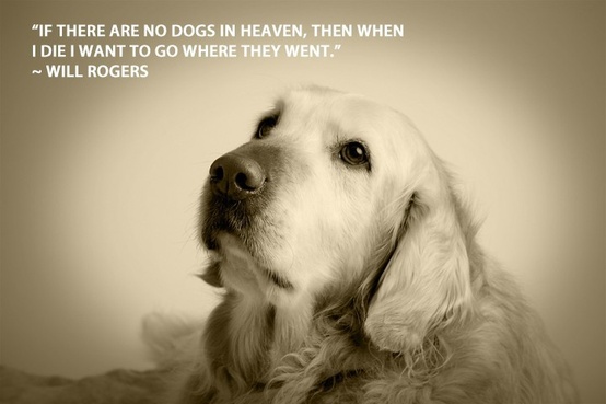 Dog quote #2