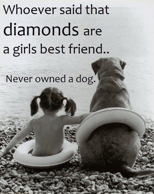 Dogs quote #3