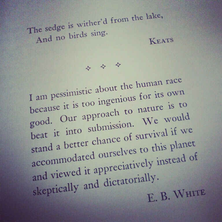E. B. White's quote #3