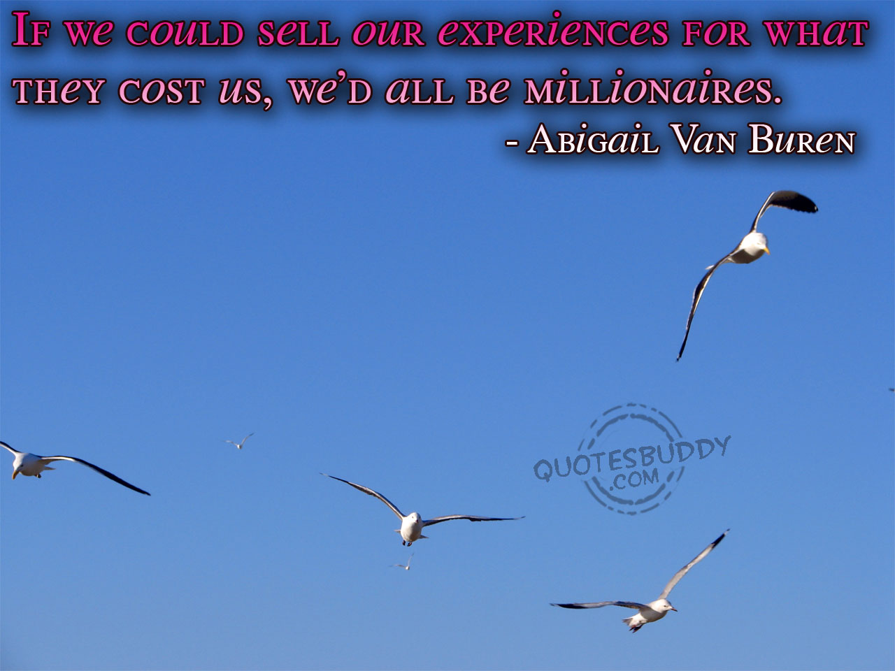 Experience quote #3