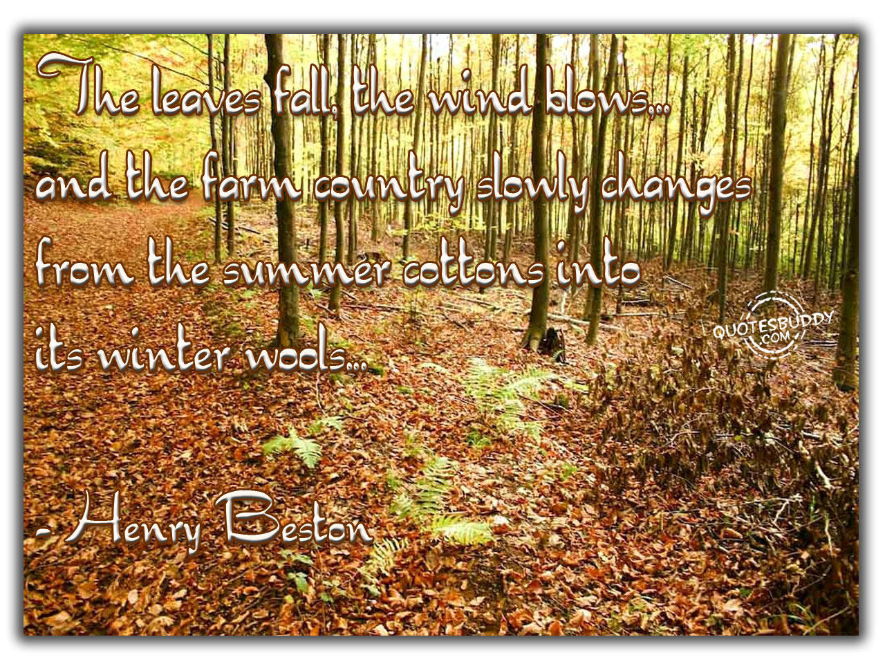 Fall quote #2