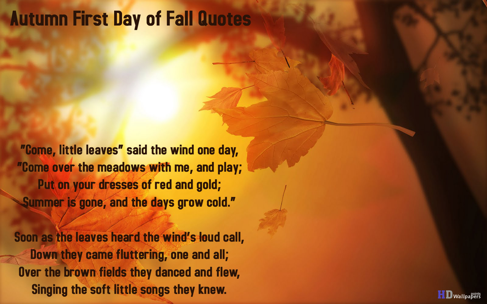 Fall quote #4