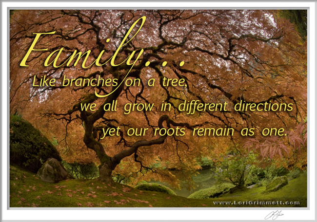 Image Result For Quotes About Family Image Result For Quotes About Family